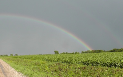 Rainbow Knox County IL 